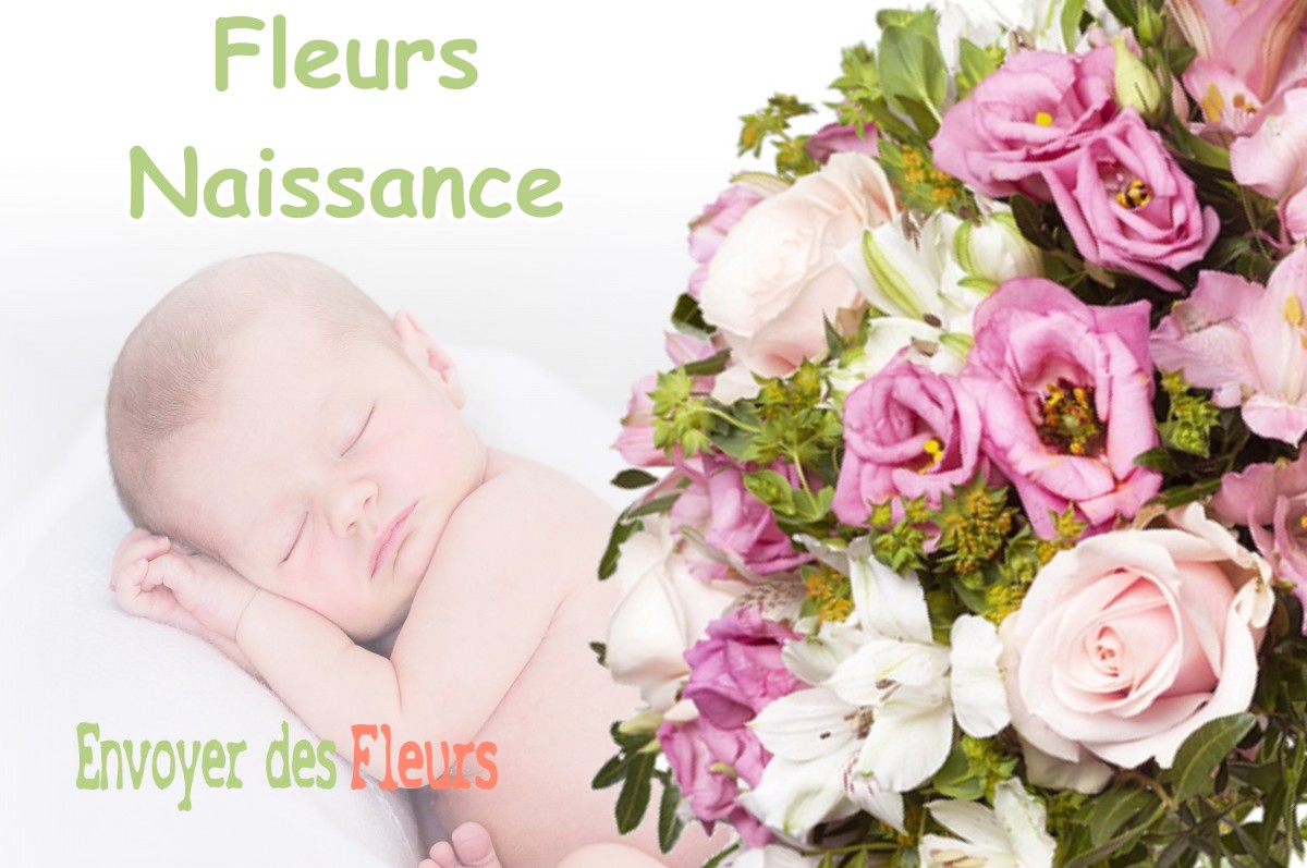 lIVRAISON FLEURS NAISSANCE à MURINAIS